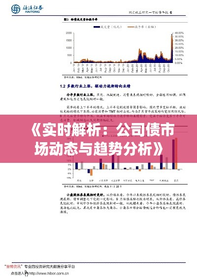 《實時解析：公司債市場動態(tài)與趨勢分析》