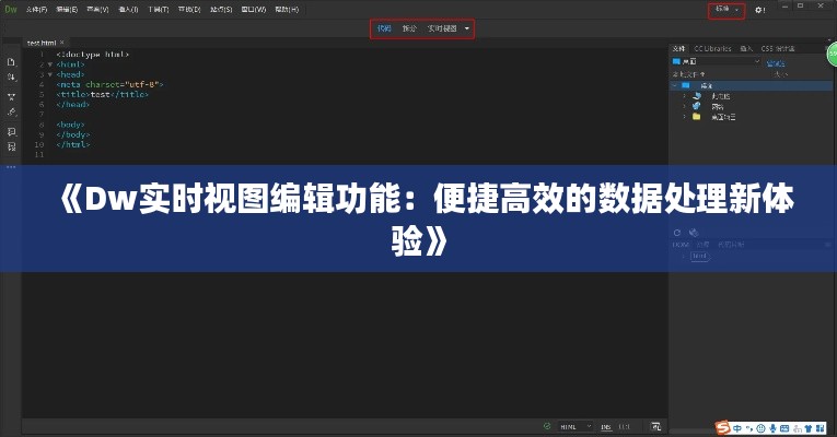《Dw實(shí)時(shí)視圖編輯功能：便捷高效的數(shù)據(jù)處理新體驗(yàn)》