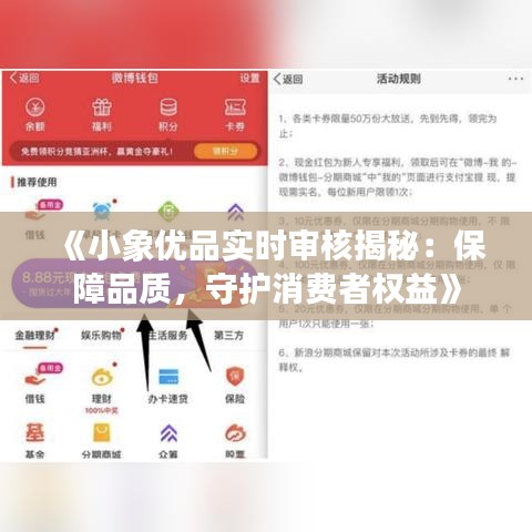 《小象優(yōu)品實(shí)時(shí)審核揭秘：保障品質(zhì)，守護(hù)消費(fèi)者權(quán)益》