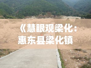 《慧眼觀梁化：惠東縣梁化鎮(zhèn)衛(wèi)星圖實時解析》