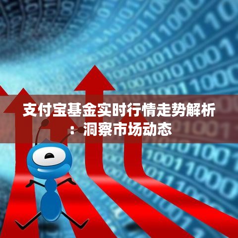 支付寶基金實時行情走勢解析：洞察市場動態(tài)