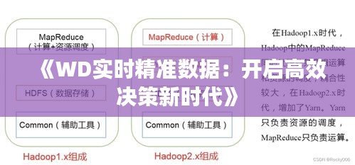 《WD實時精準數(shù)據(jù)：開啟高效決策新時代》