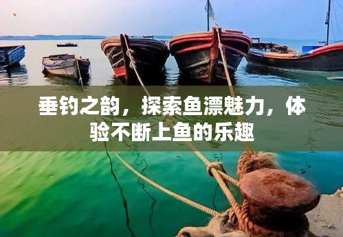 垂釣之韻，探索魚漂魅力，體驗(yàn)不斷上魚的樂趣