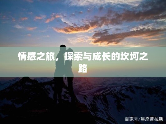 情感之旅，探索與成長(zhǎng)的坎坷之路