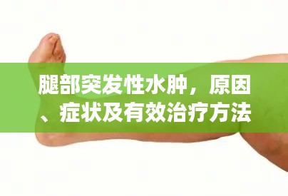 腿部突發(fā)性水腫，原因、癥狀及有效治療方法全解析