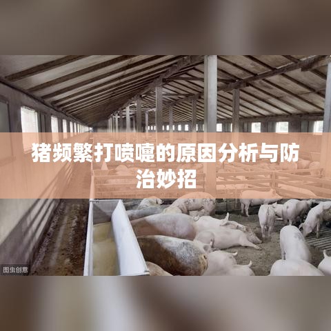 豬頻繁打噴嚏的原因分析與防治妙招