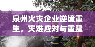 泉州火災企業(yè)逆境重生，災難應對與重建希望之路