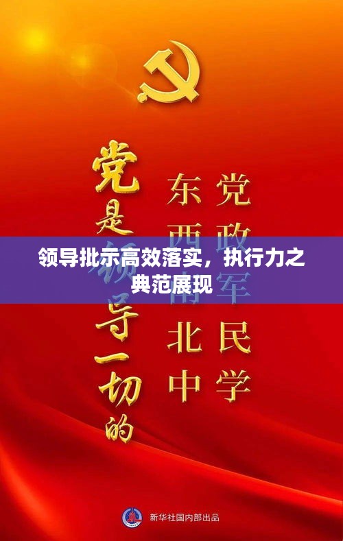 領(lǐng)導(dǎo)批示高效落實，執(zhí)行力之典范展現(xiàn)