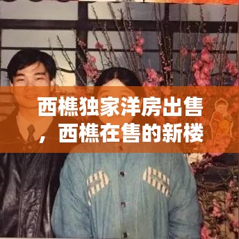 西樵獨(dú)家洋房出售，西樵在售的新樓盤 