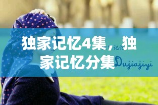 獨(dú)家記憶4集，獨(dú)家記憶分集 