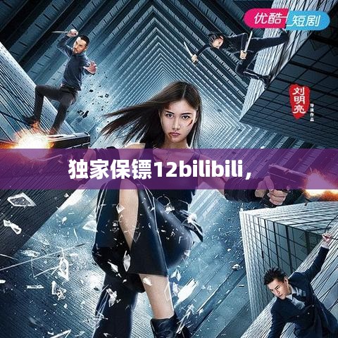 獨(dú)家保鏢12bilibili， 