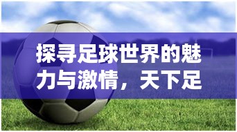 探尋足球世界的魅力與激情，天下足球?qū)ｎ}片全解析