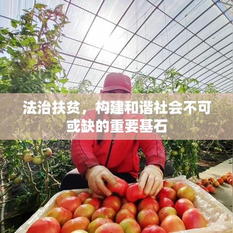 法治扶貧，構建和諧社會不可或缺的重要基石