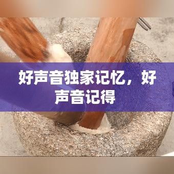 好聲音獨(dú)家記憶，好聲音記得 