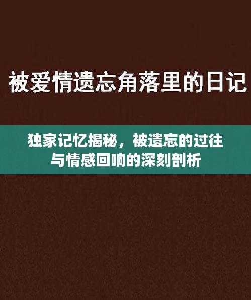 獨(dú)家記憶揭秘，被遺忘的過往與情感回響的深刻剖析