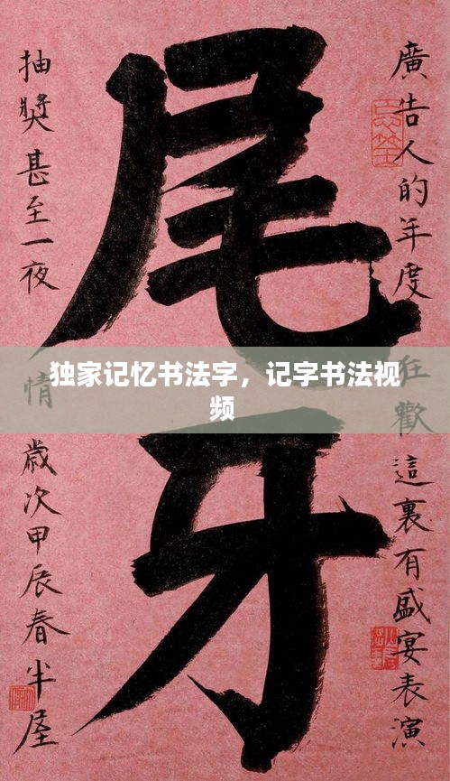 獨家記憶書法字，記字書法視頻 