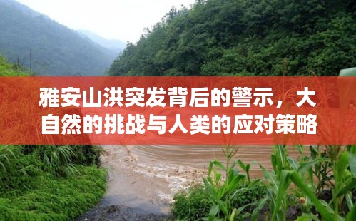 雅安山洪突發(fā)背后的警示，大自然的挑戰(zhàn)與人類的應(yīng)對策略