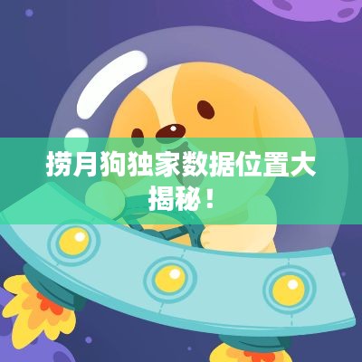 撈月狗獨家數(shù)據(jù)位置大揭秘！