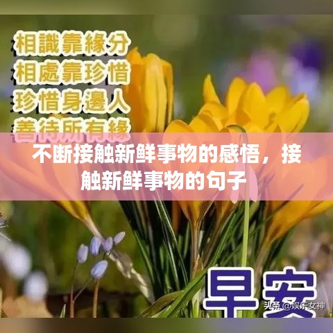 不斷接觸新鮮事物的感悟，接觸新鮮事物的句子 