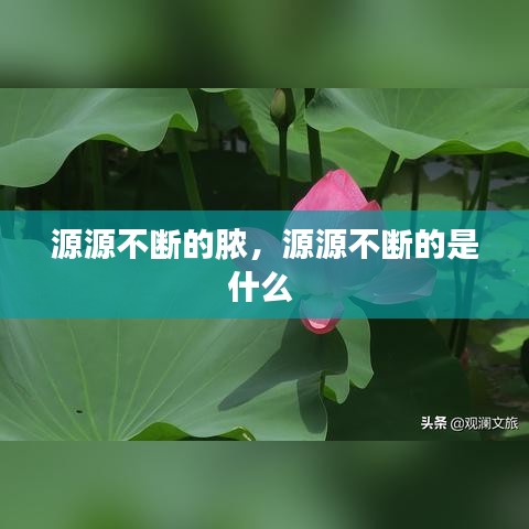 源源不斷的膿，源源不斷的是什么 