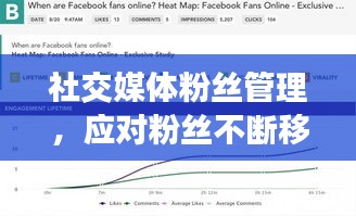 社交媒體粉絲管理，應對粉絲不斷移除的策略與技巧