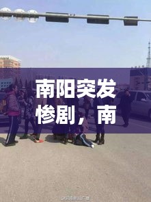 南陽突發(fā)慘劇，南陽發(fā)生一起命案2021年 