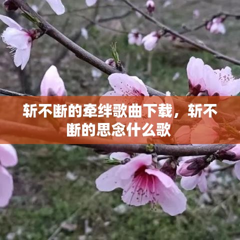 斬不斷的牽絆歌曲下載，斬不斷的思念什么歌 