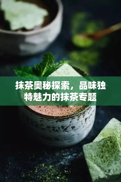 抹茶奧秘探索，品味獨(dú)特魅力的抹茶專題