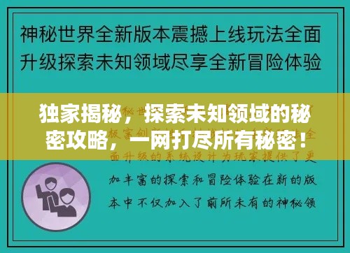 獨(dú)家揭秘，探索未知領(lǐng)域的秘密攻略，一網(wǎng)打盡所有秘密！