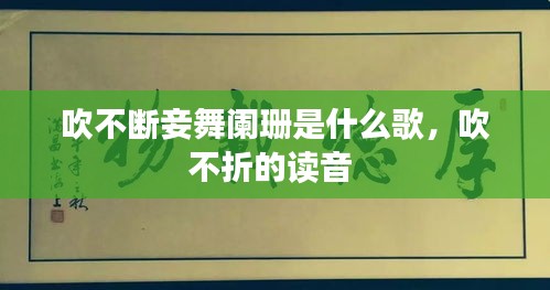 2025年1月8日 第3頁