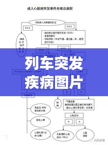 列車突發(fā)疾病圖片，列車突發(fā)事件業(yè)務(wù)辦理流程圖 