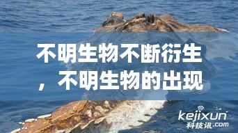 不明生物不斷衍生，不明生物的出現(xiàn) 