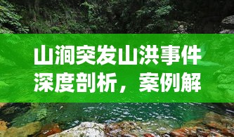 山澗突發(fā)山洪事件深度剖析，案例解析與啟示