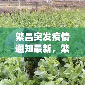 繁昌突發(fā)疫情通知最新，繁昌確診一例 