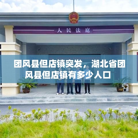 團風縣但店鎮(zhèn)突發(fā)，湖北省團風縣但店鎮(zhèn)有多少人口 