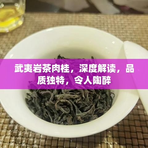 武夷巖茶肉桂，深度解讀，品質(zhì)獨(dú)特，令人陶醉