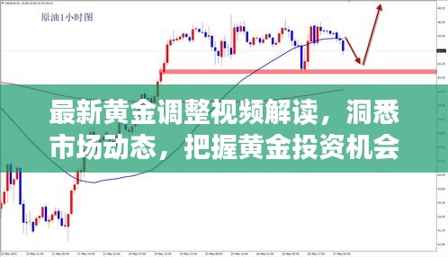 最新黃金調(diào)整視頻解讀，洞悉市場動態(tài)，把握黃金投資機會！