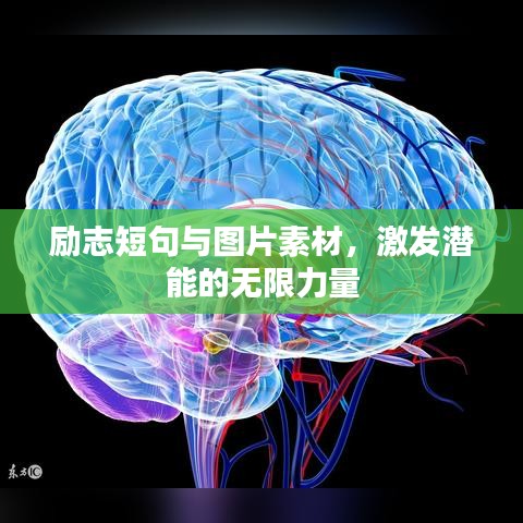 勵(lì)志短句與圖片素材，激發(fā)潛能的無限力量