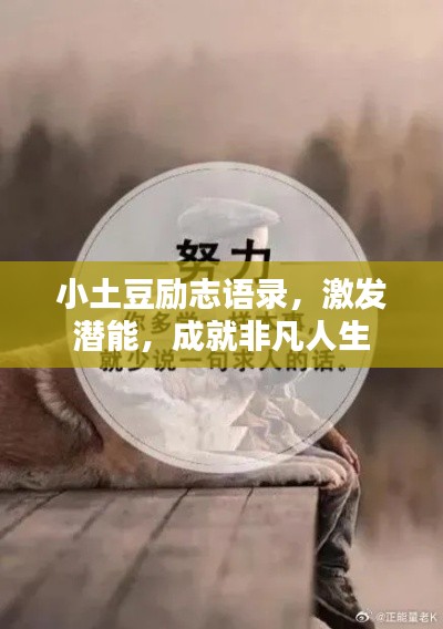 小土豆勵志語錄，激發(fā)潛能，成就非凡人生