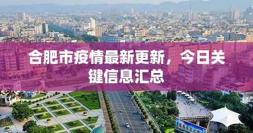 合肥市疫情最新更新，今日關(guān)鍵信息匯總