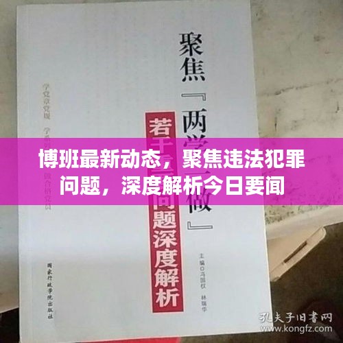 博班最新動態(tài)，聚焦違法犯罪問題，深度解析今日要聞