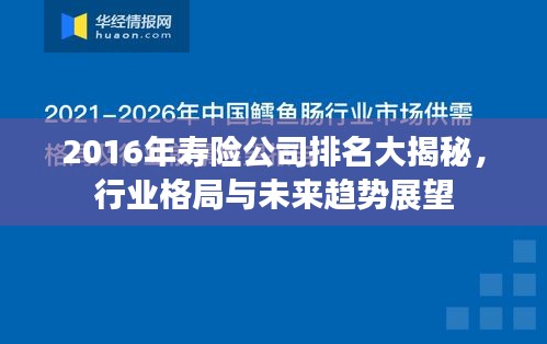 2016年壽險公司排名大揭秘，行業(yè)格局與未來趨勢展望