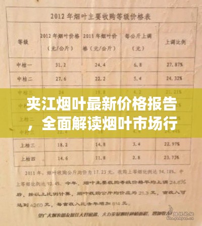 夾江煙葉最新價格報告，全面解讀煙葉市場行情與價格走勢