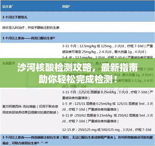 沙河核酸檢測(cè)攻略，最新指南助你輕松完成檢測(cè)！