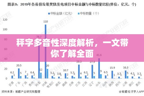 秤字多音性深度解析，一文帶你了解全面