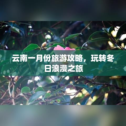 云南一月份旅游攻略，玩轉(zhuǎn)冬日浪漫之旅