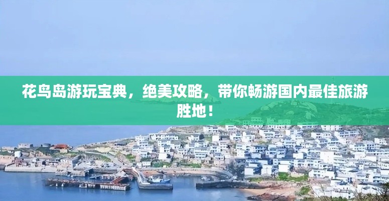 花鳥島游玩寶典，絕美攻略，帶你暢游國內最佳旅游勝地！