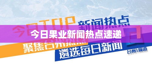 今日果業(yè)新聞熱點(diǎn)速遞