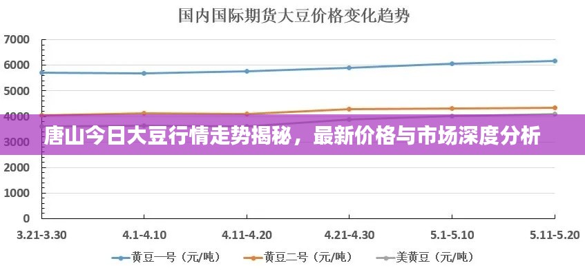 唐山今日大豆行情走勢(shì)揭秘，最新價(jià)格與市場(chǎng)深度分析