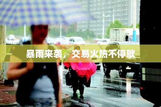 暴雨來(lái)襲，交易火熱不停歇